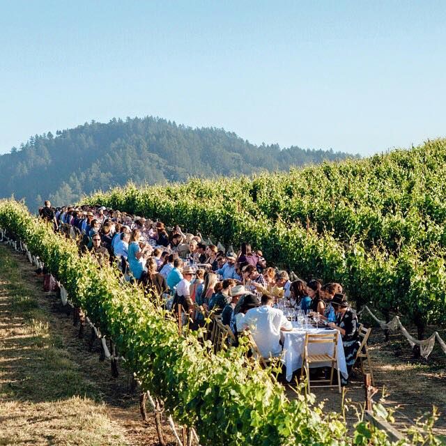 Winery Lunch, USA